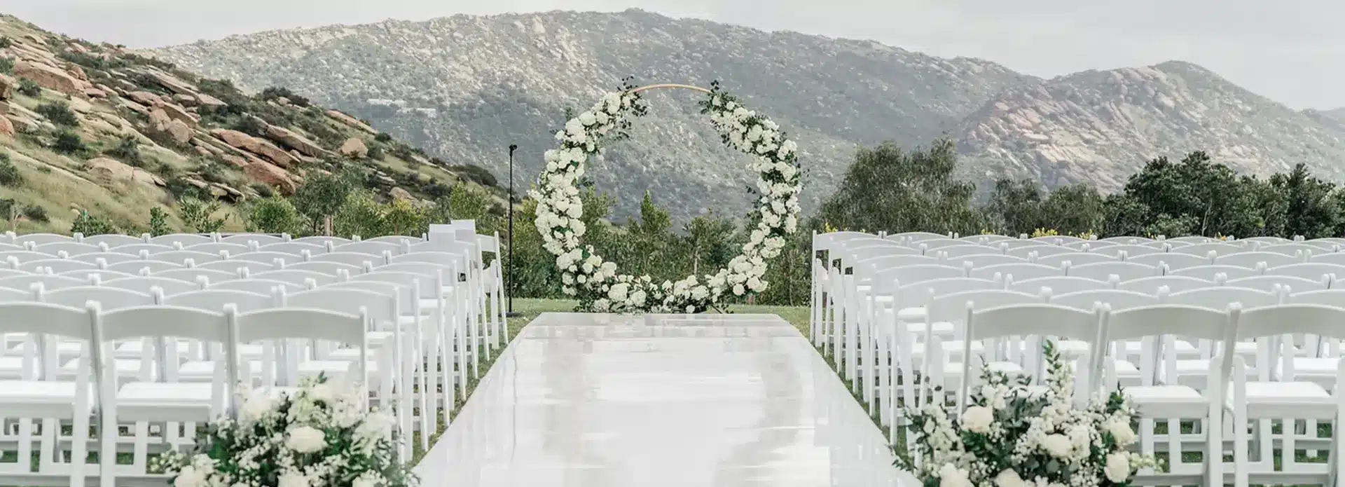 &nbsp;